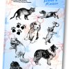 Folia Şeffaf Stampa Kedi köpek