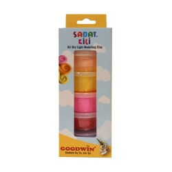 Goodwin Sanat Kili 20gr 6 renk set