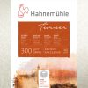 William Turner Matt 300gr 50x65 10 tabaka