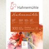 Blok Hahnemühle Rough 300g 36x48cm 10y