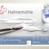 Harmony Rough 300g 12y 30x40