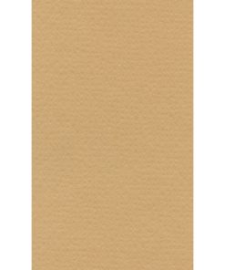 Lana Fon Kartonu Kartonu kum Rengi A4 ( 50 TABAKA )