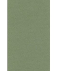 Lana Fon Kartonu Sapgreen A4 ( 50 TABAKA )