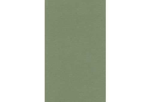 Lana Fon Kartonu Sapgreen A4 ( 50 TABAKA )